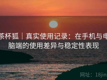 茶杯狐｜真实使用记录：在手机与电脑端的使用差异与稳定性表现