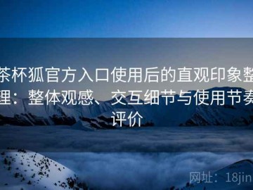 茶杯狐官方入口使用后的直观印象整理：整体观感、交互细节与使用节奏评价