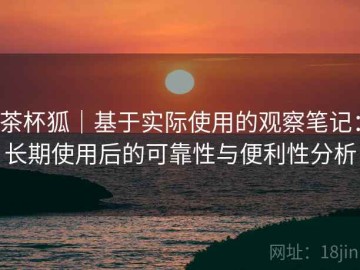 茶杯狐｜基于实际使用的观察笔记：长期使用后的可靠性与便利性分析