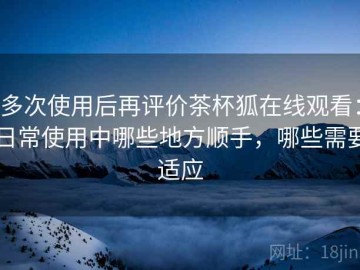 多次使用后再评价茶杯狐在线观看：日常使用中哪些地方顺手，哪些需要适应