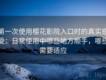 第一次使用樱花影院入口时的真实感受：日常使用中哪些地方顺手，哪些需要适应