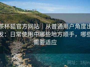 茶杯狐官方网站｜从普通用户角度出发：日常使用中哪些地方顺手，哪些需要适应