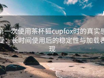 第一次使用茶杯狐cupfox时的真实感受：长时间使用后的稳定性与加载表现